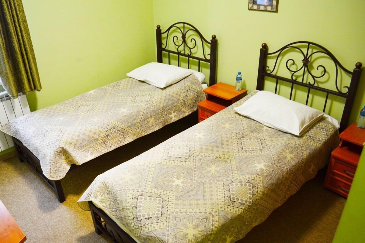Dos camas individuales con ropa de cama estampada en una habitación con paredes verdes y un radiador.