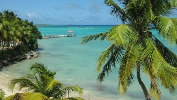 A beach with palm trees and a pier extending into turquoise waters. - Sun, sea and easy living in this studio close to everything (SAINT FRANCOIS)