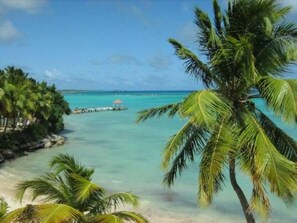 Ein Strand mit Palmen und einem Steg, der sich in türkisfarbenes Wasser erstreckt.