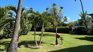 Un jardín bien cuidado con palmeras y un cielo azul despejado.