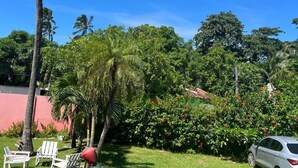 Un jardín cuidado con palmeras, césped y un automóvil estacionado al fondo.