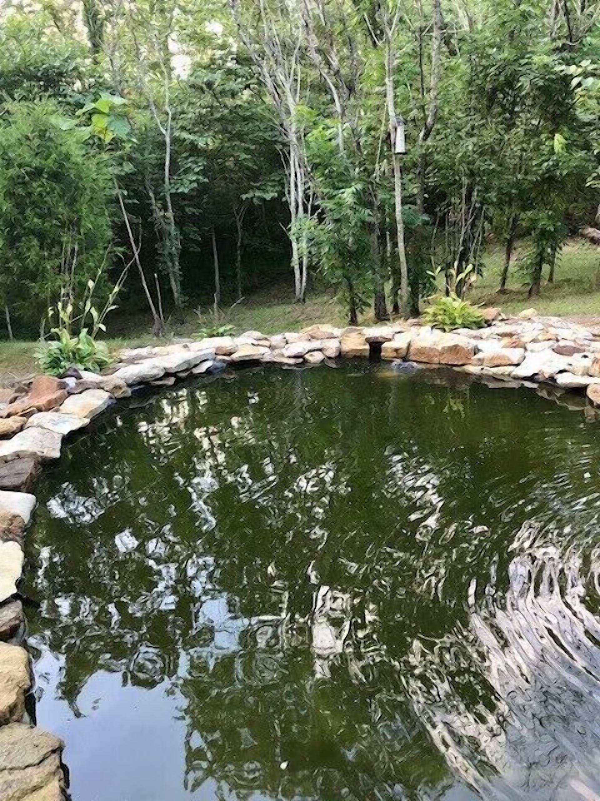 A stone-lined pond surrounded by trees.