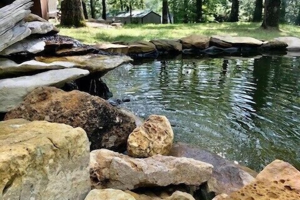 Àrea exterior de l'allotjament