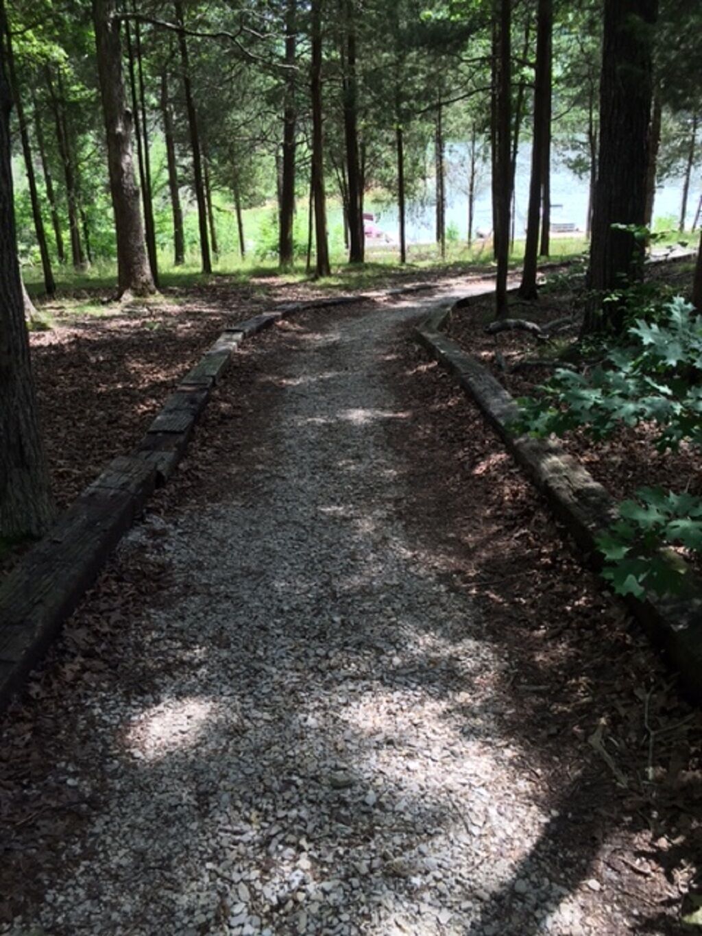 A gravel path in a wooded area with a body of water in the background.