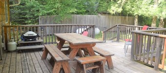 Cougar Cabin