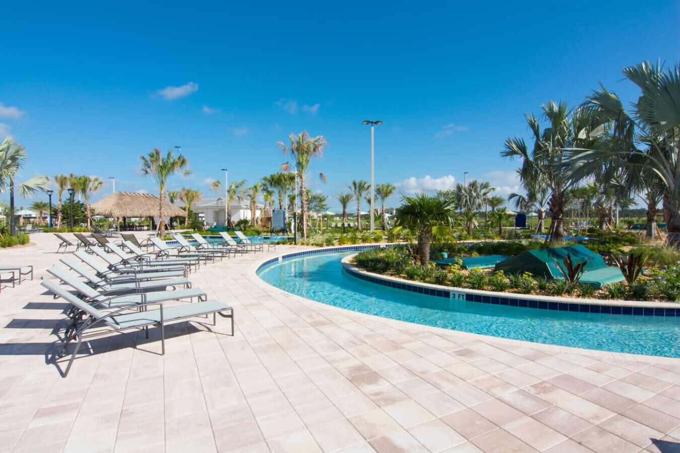 A pool area with lounge chairs and palm trees.