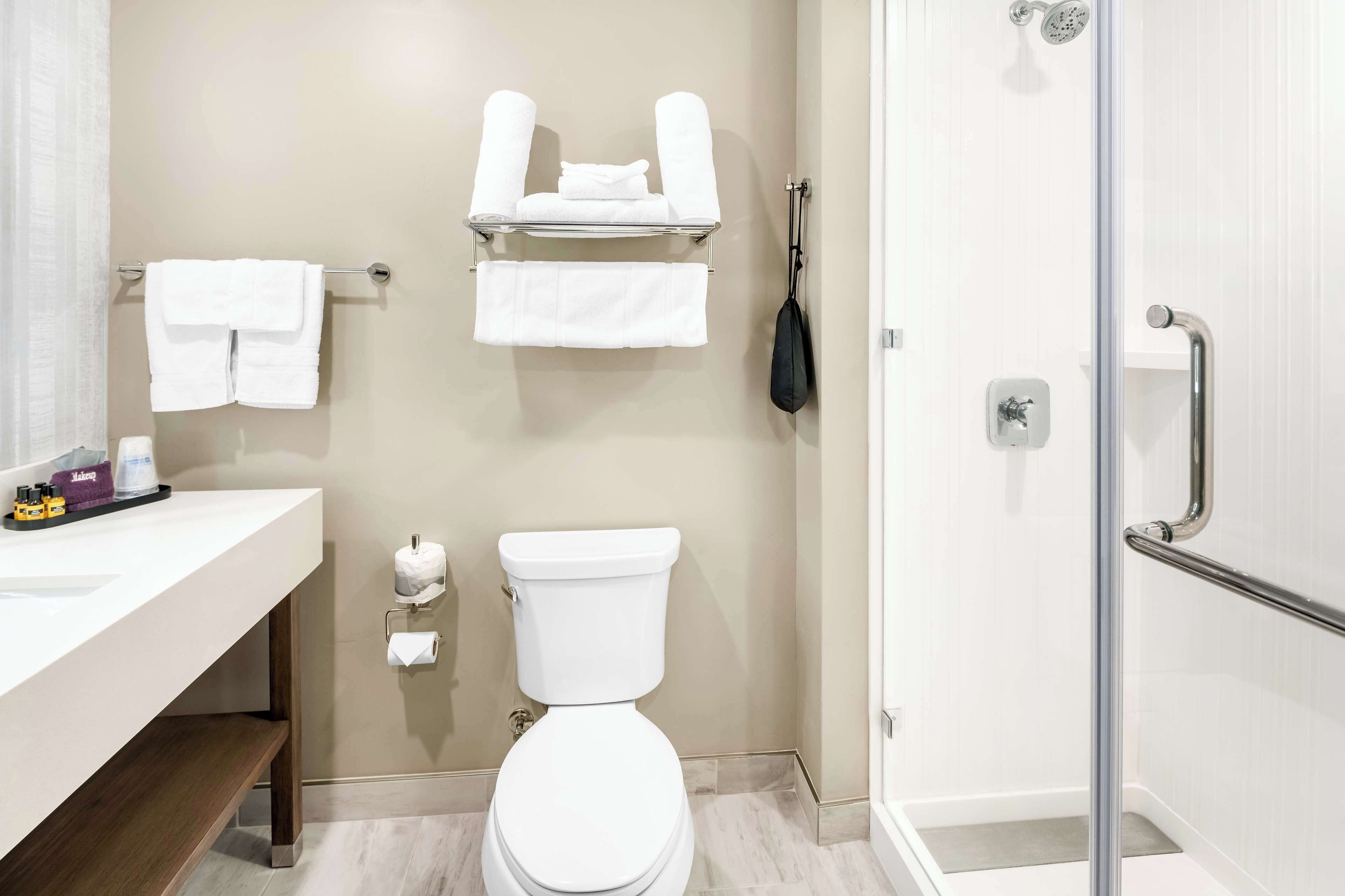 shower, free toiletries, hair dryer, towels