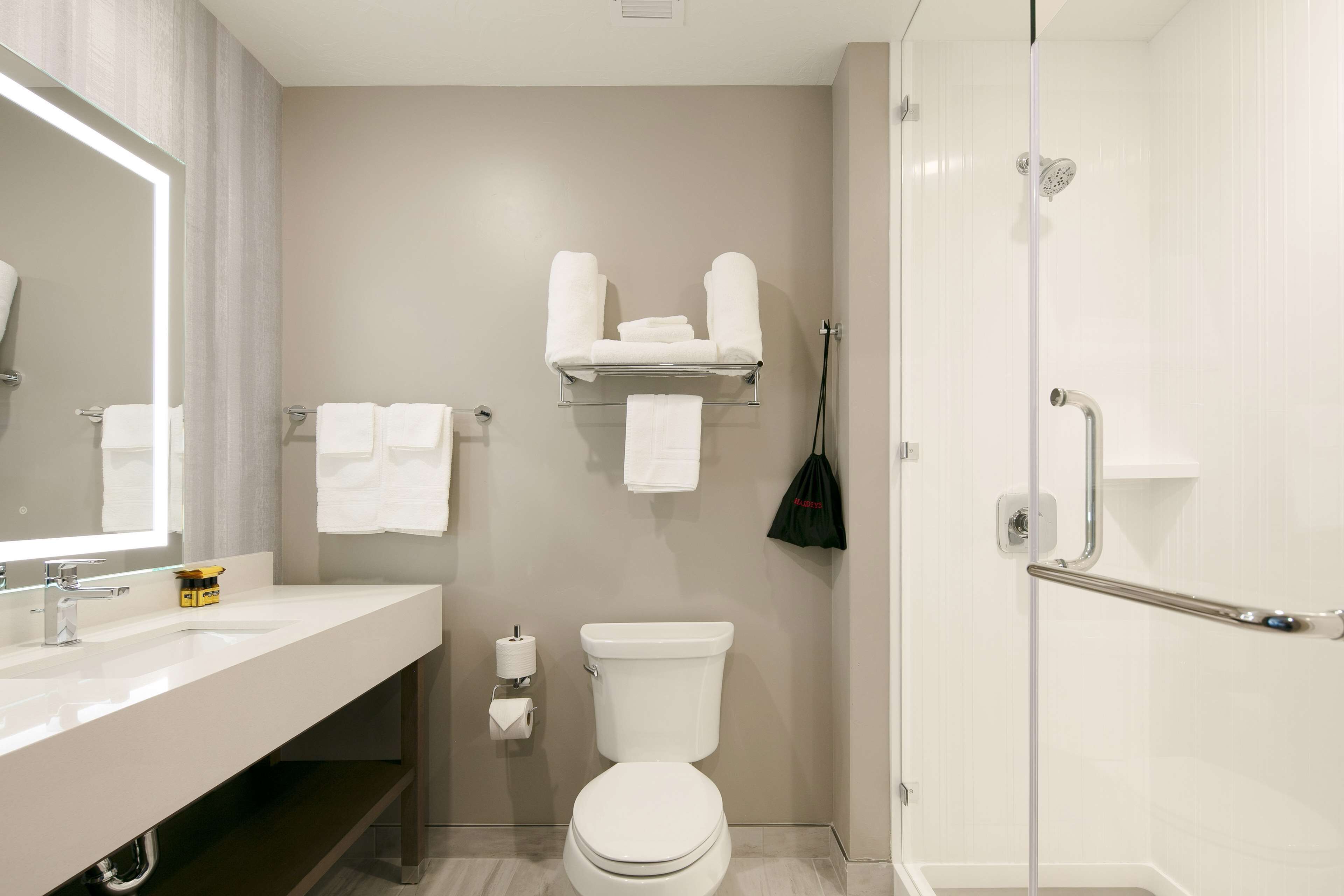 shower, free toiletries, hair dryer, towels