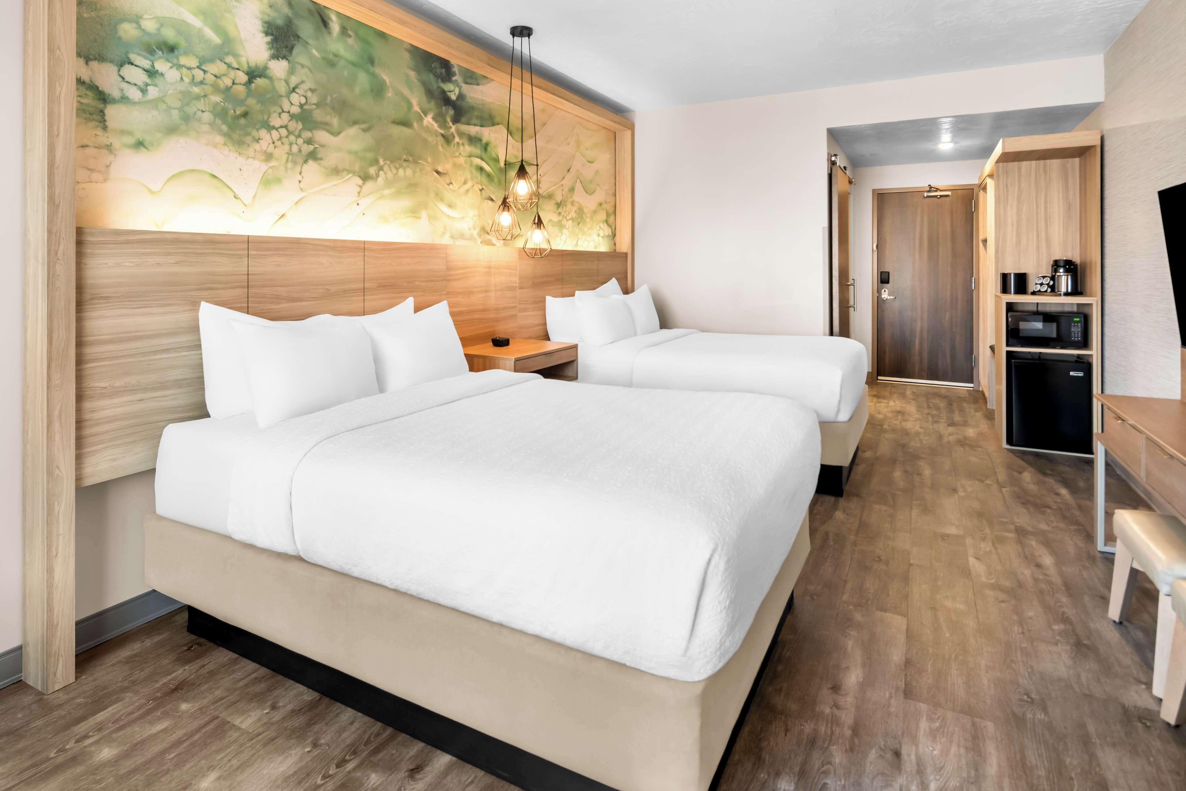 standard room, 2 queen beds, non smoking (1st floor;walk-in shower;pet friendly) | desk, laptop workspace, blackout curtains, iron/ironing board