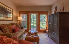 Smart TV, fireplace, books, music library