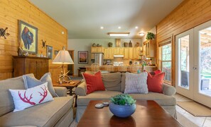 Smart TV, fireplace, books, music library