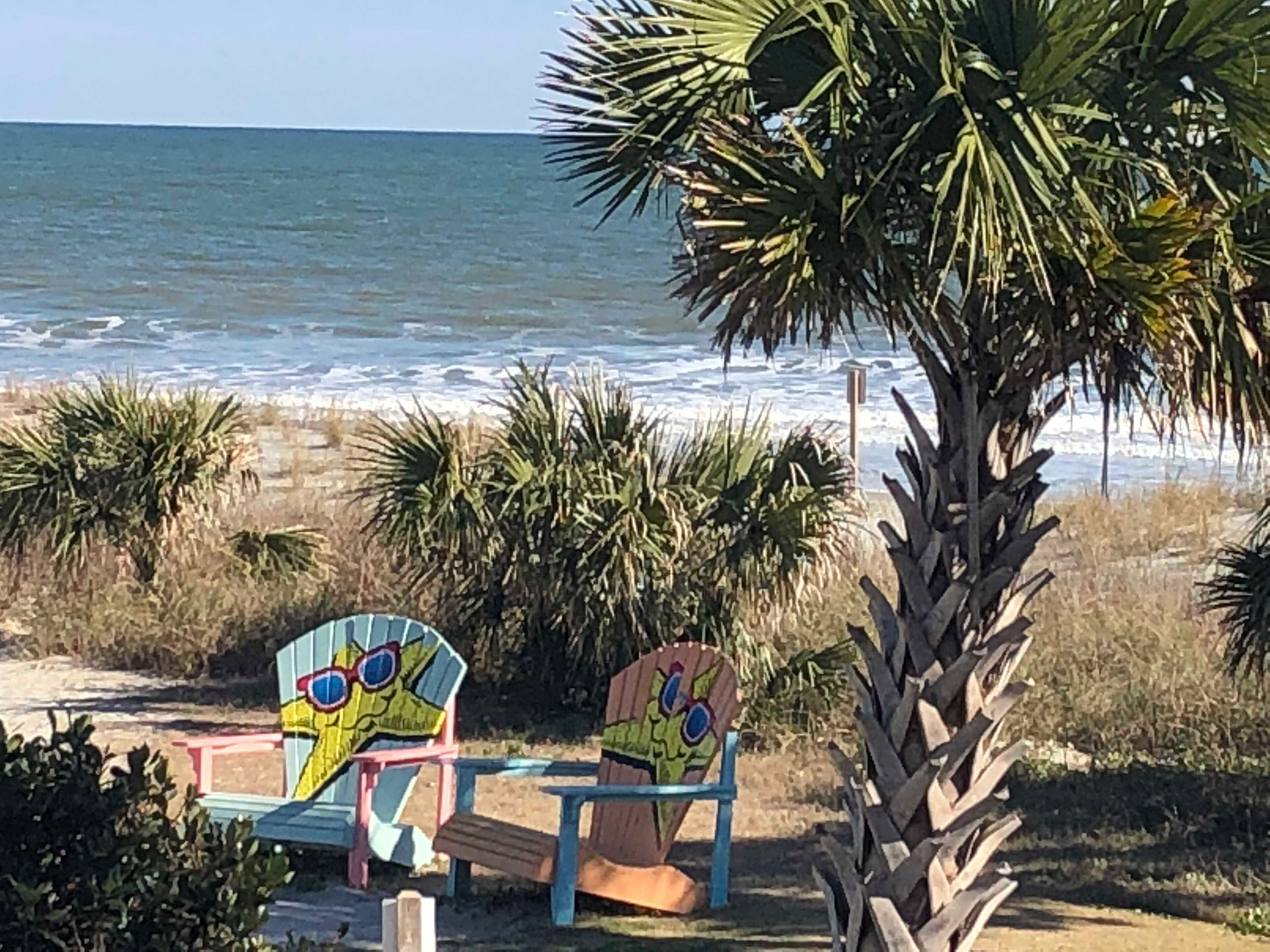 A beach with two colorful chairs and a palm tree.