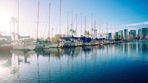 A marina with multiple sailboats docked, calm water, and a city skyline in the background.