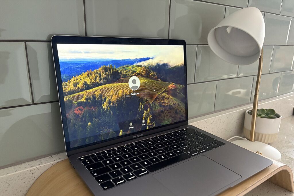 A laptop on a wooden desk with a white lamp and a potted plant beside it.