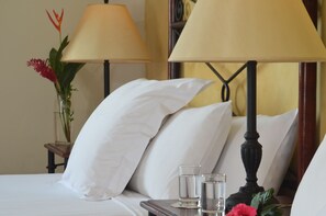 Twin Room | Premium bedding, down comforters, individually decorated, desk - Hotel Dario (Granada)
