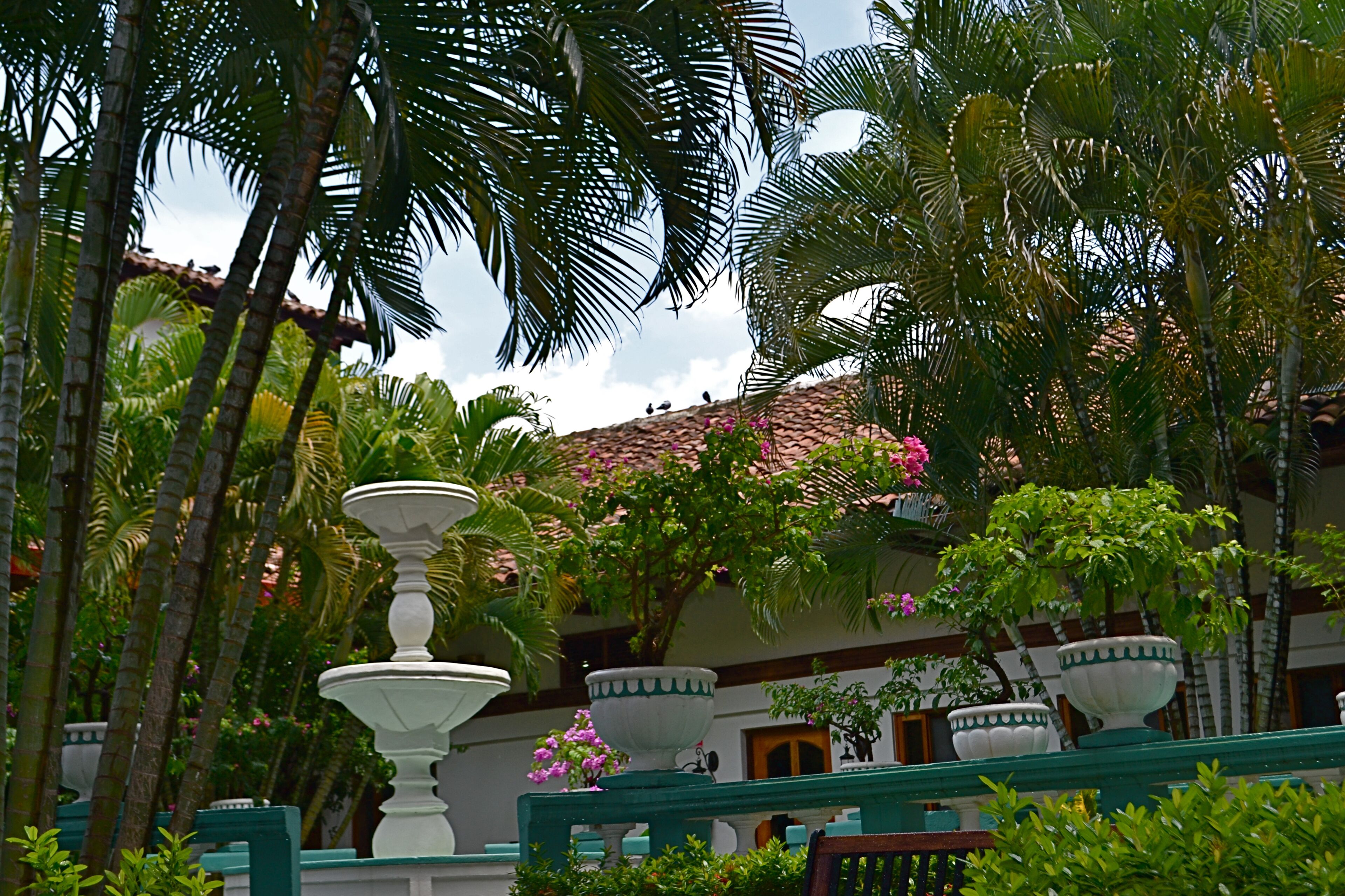 A courtyard with a fountain, palm trees, and potted plants.