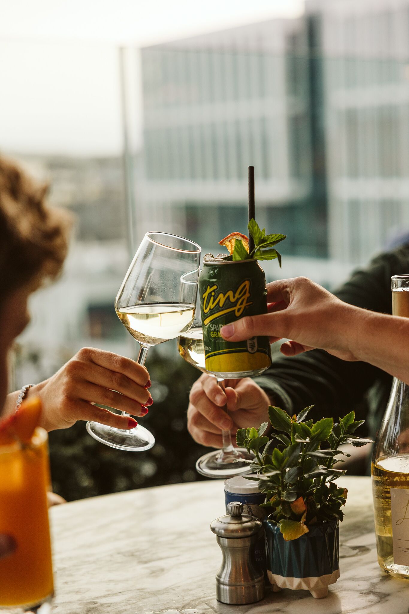 Deux personnes trinquent avec des verres de vin, une canette de bière avec une paille, et une petite plante en pot est posée sur une table.
