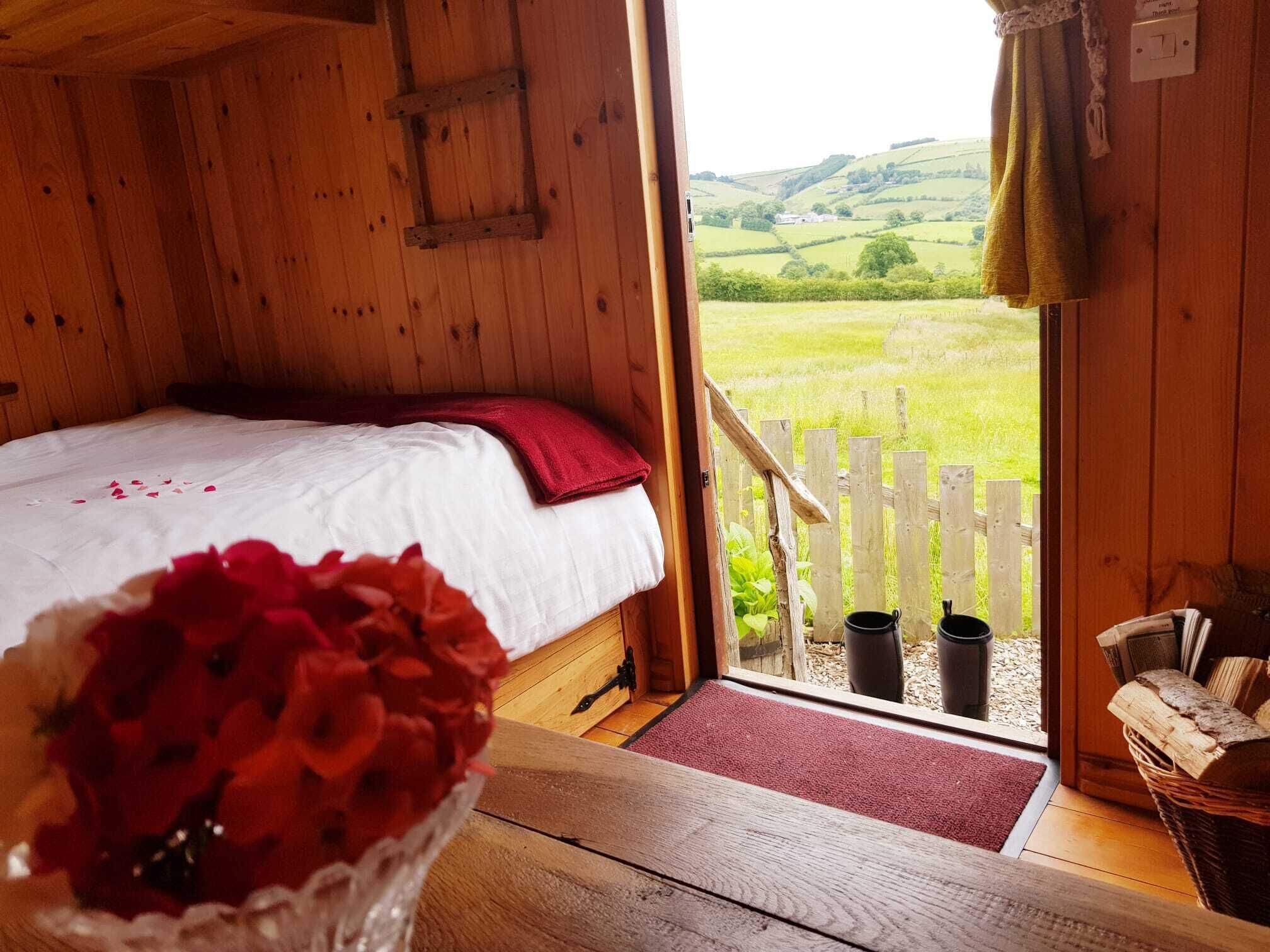 Cabin Retreat With Beavers On Shropshire Hills - Shropshire