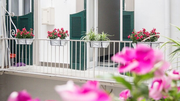 A balcony with white railings, green shutters, and potted plants. - Toledo Class (Naples)