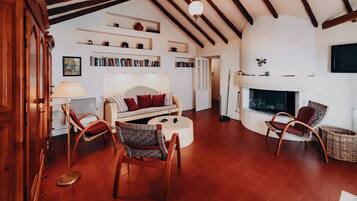 Een televisie, een open haard, boeken en een muziekbibliotheek