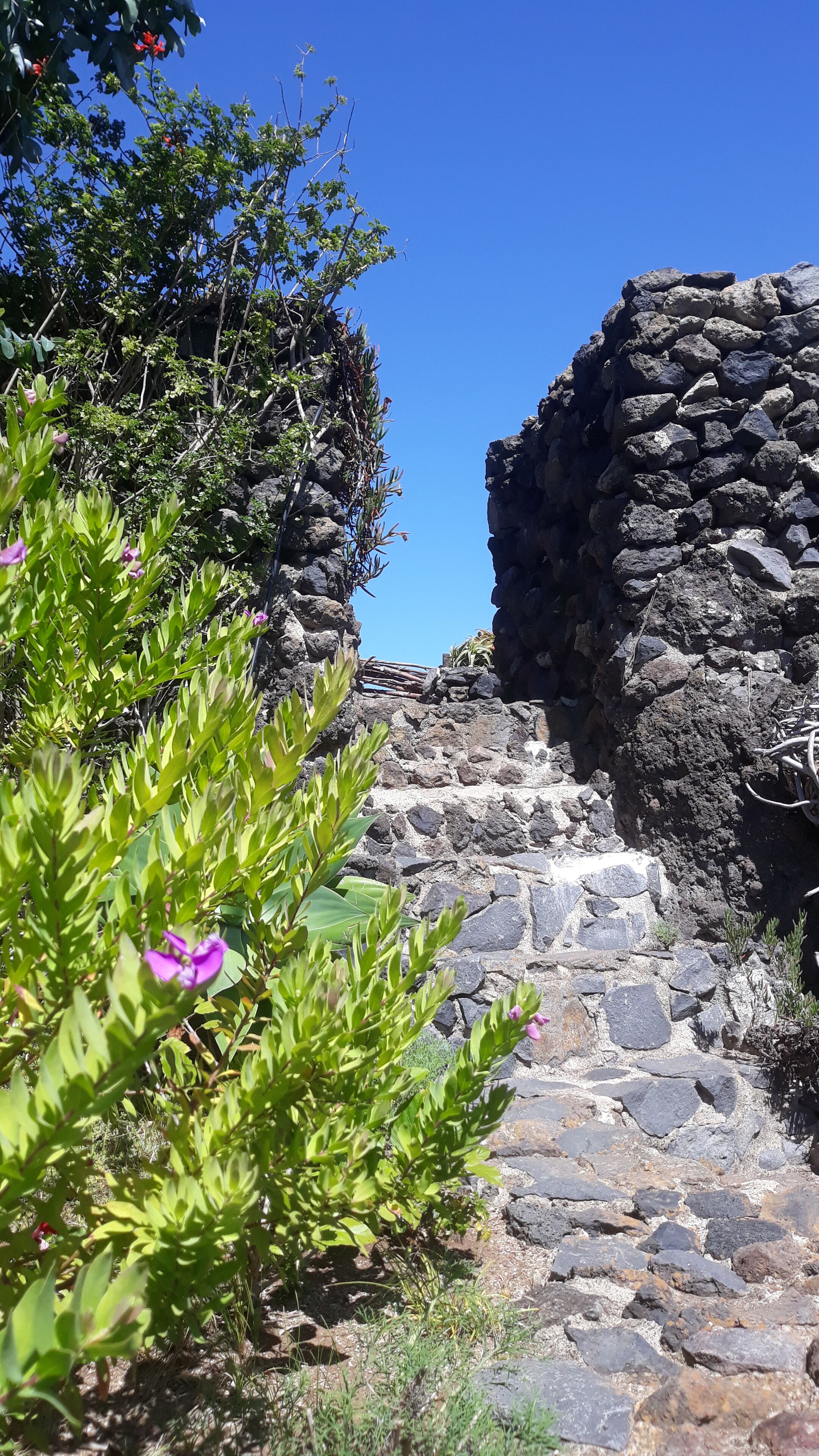 A stone staircase leading up to a rocky structure, surrounded by green foliage and small pink flowers.