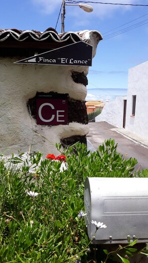 Detalle del exterior