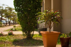 المنطقة المحيطة بالمنشأة