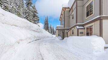 A snow-covered road leading to a building with multiple windows and a snow-covered roof.