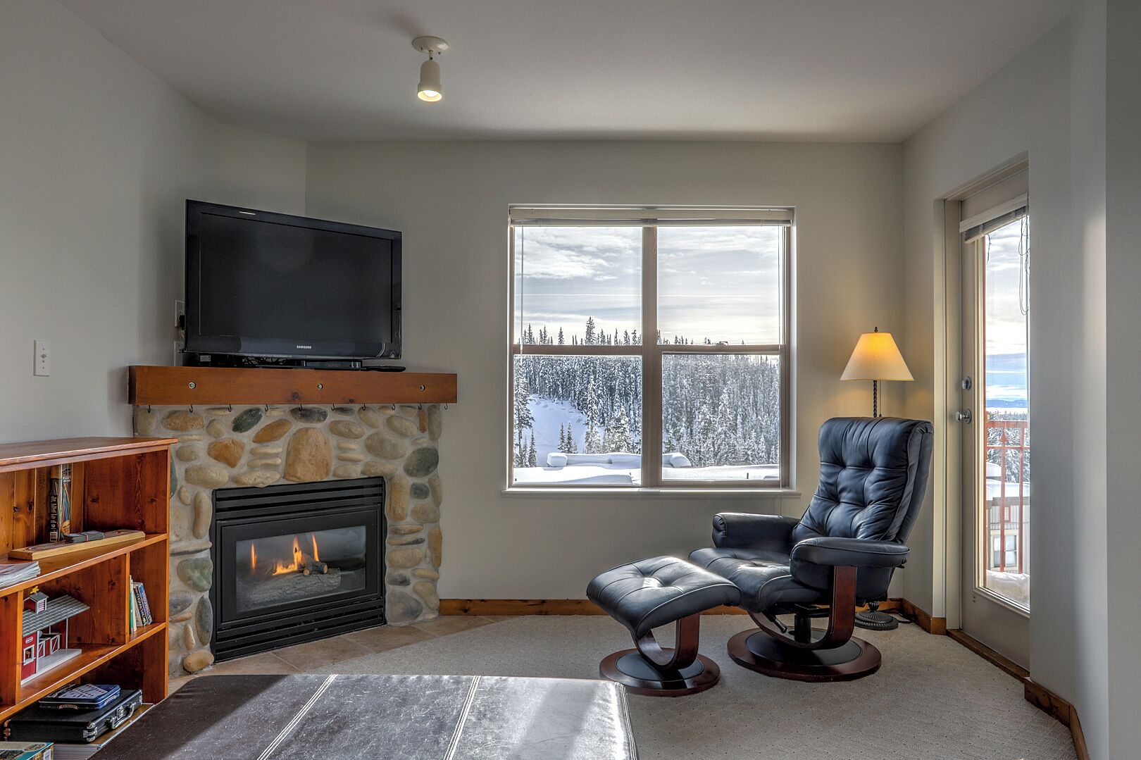 Televisión, chimenea y libros 