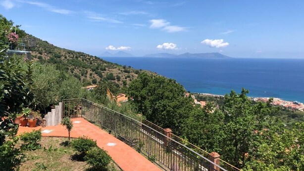 Ein malerischer Blick auf eine Küstenlandschaft mit einem Weg, der zu einem Balkon mit Meerblick führt.