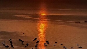 Ein Sonnenuntergang über ruhigem Wasser mit Booten.