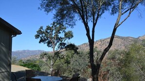Une terrasse extérieure avec une table et des chaises, entourée d’arbres et offrant une vue sur un paysage montagneux.