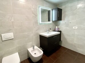 Shower, hair dryer, bidet, towels