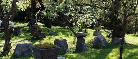 المنطقة المحيطة بالمنشأة