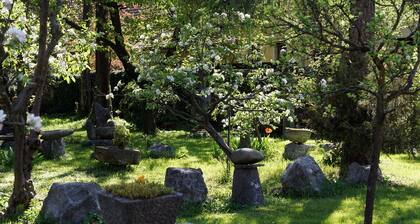 Hortus 🌳 House: Green heart of the green city