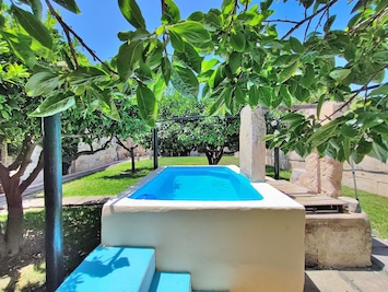 Traditional garden with traditional swimming pool (safareig)