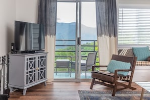 TV, fireplace, video games