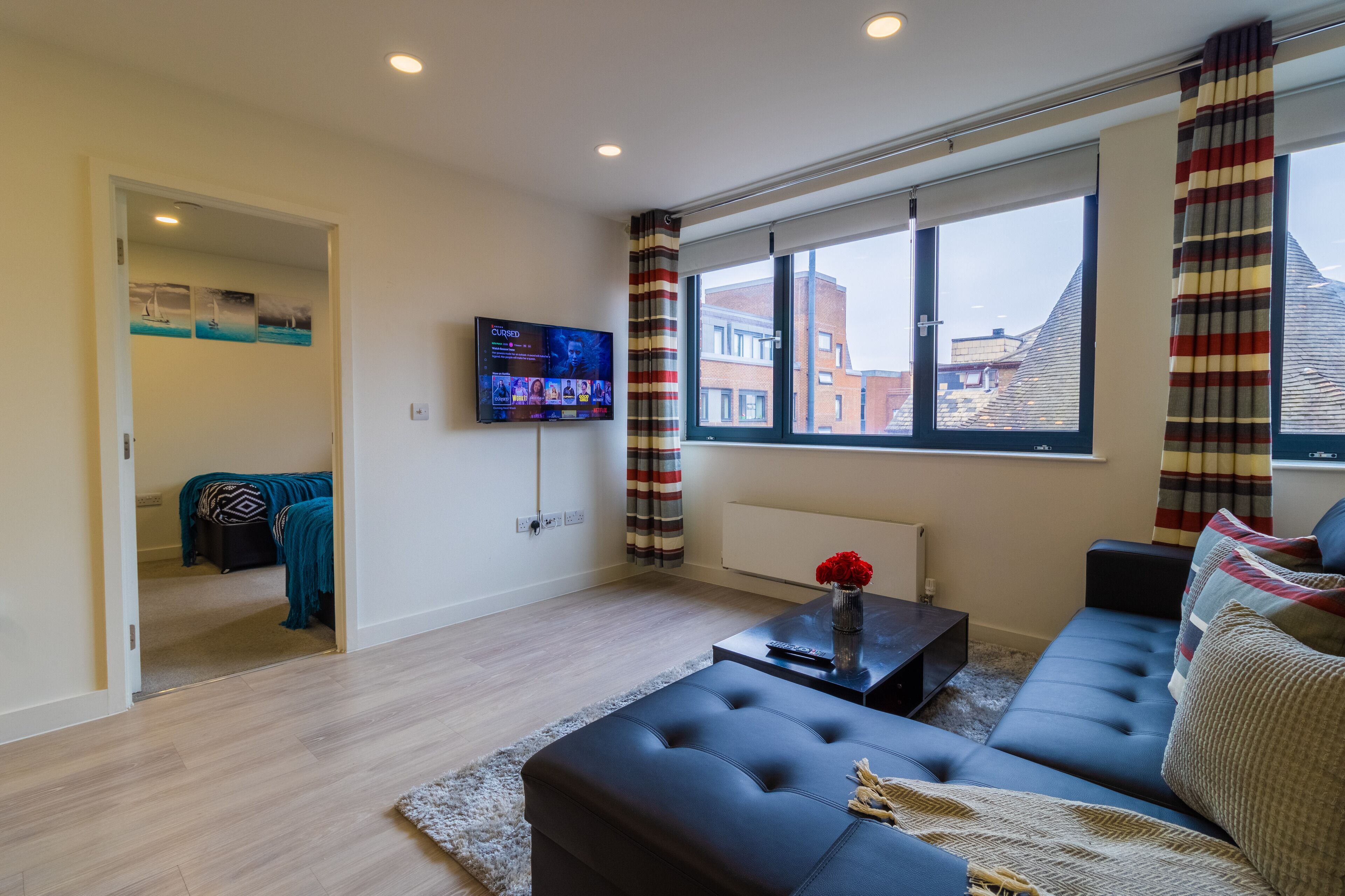 TV, Netflix, books, streaming services