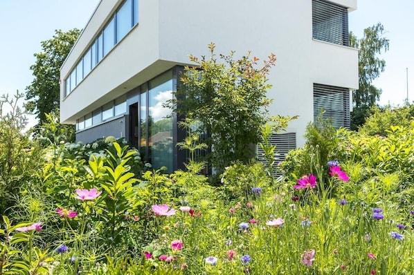 Un bâtiment moderne doté de grandes fenêtres et d’un jardin où poussent différentes sortes de fleurs.