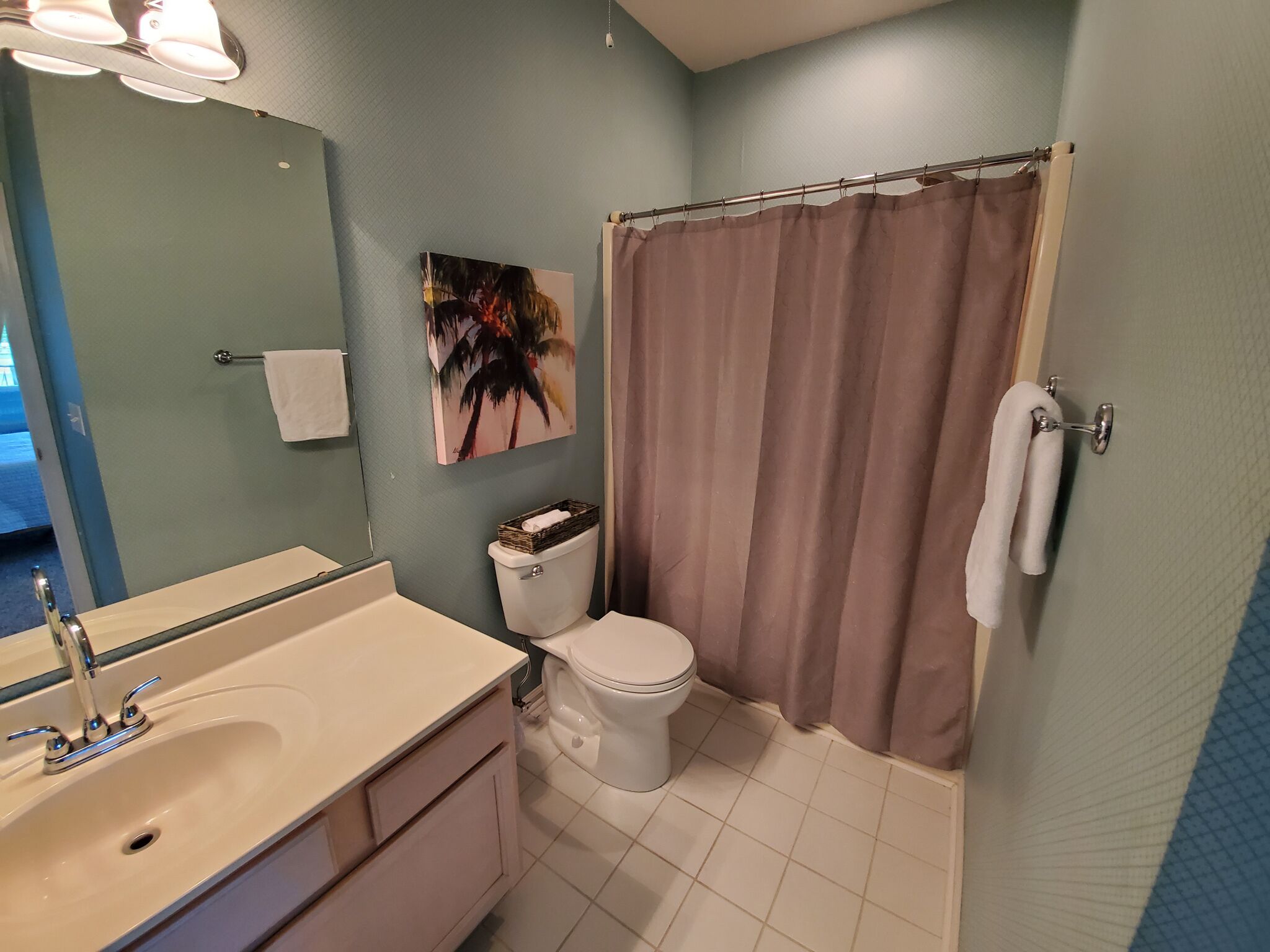 A bathroom with a sink, toilet, and shower curtain.