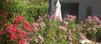 Studio private gardens