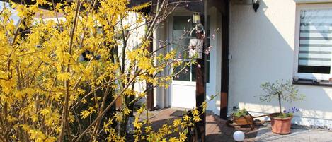 تفاصيل الفندق من الخارج