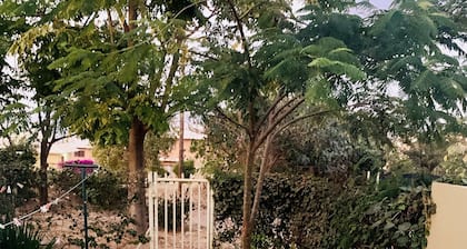 Safe & secured villas, great location, suitable for business, family or leisure.