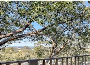 Property grounds - Cypress Lakes resort-making your stay easy & clean. We love our guests! (Pokolbin)