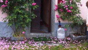 Um edifício rosa com uma porta, uma janela com flores vermelhas e flores rosa no chão.
