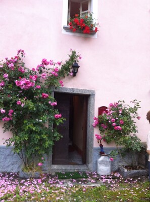 A pink building with a doorway, a window with red flowers, and pink flowers on the ground. - EDELWEISS (PREMIA)