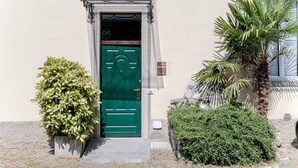 Una puerta verde con un pequeño ventanal arriba, una planta en maceta a la izquierda y una palmera a la derecha.