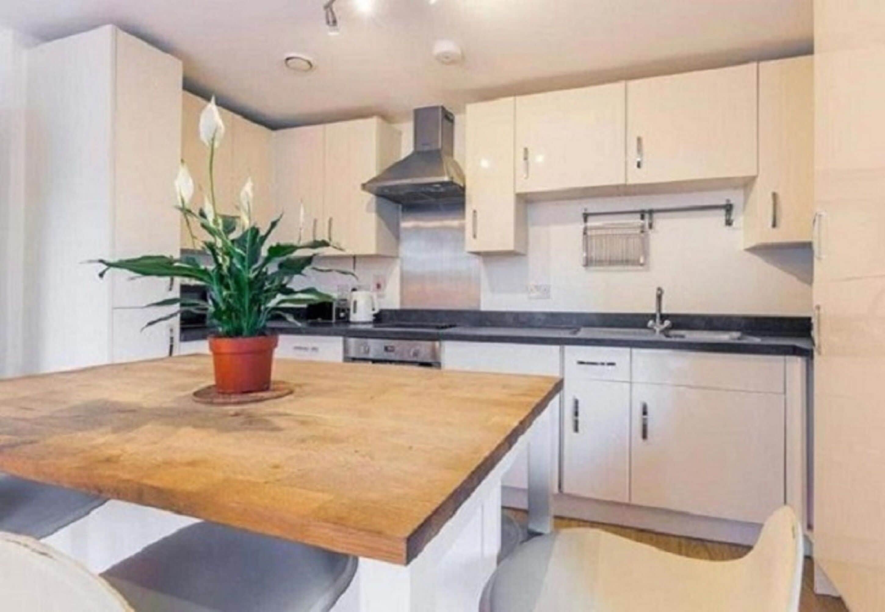 尊荣公寓, 2 间卧室 | 私人厨房 | 电热水壶