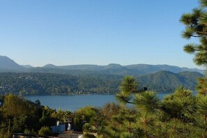 Niet-geclassificeerde afbeelding, 2 van 8, knop