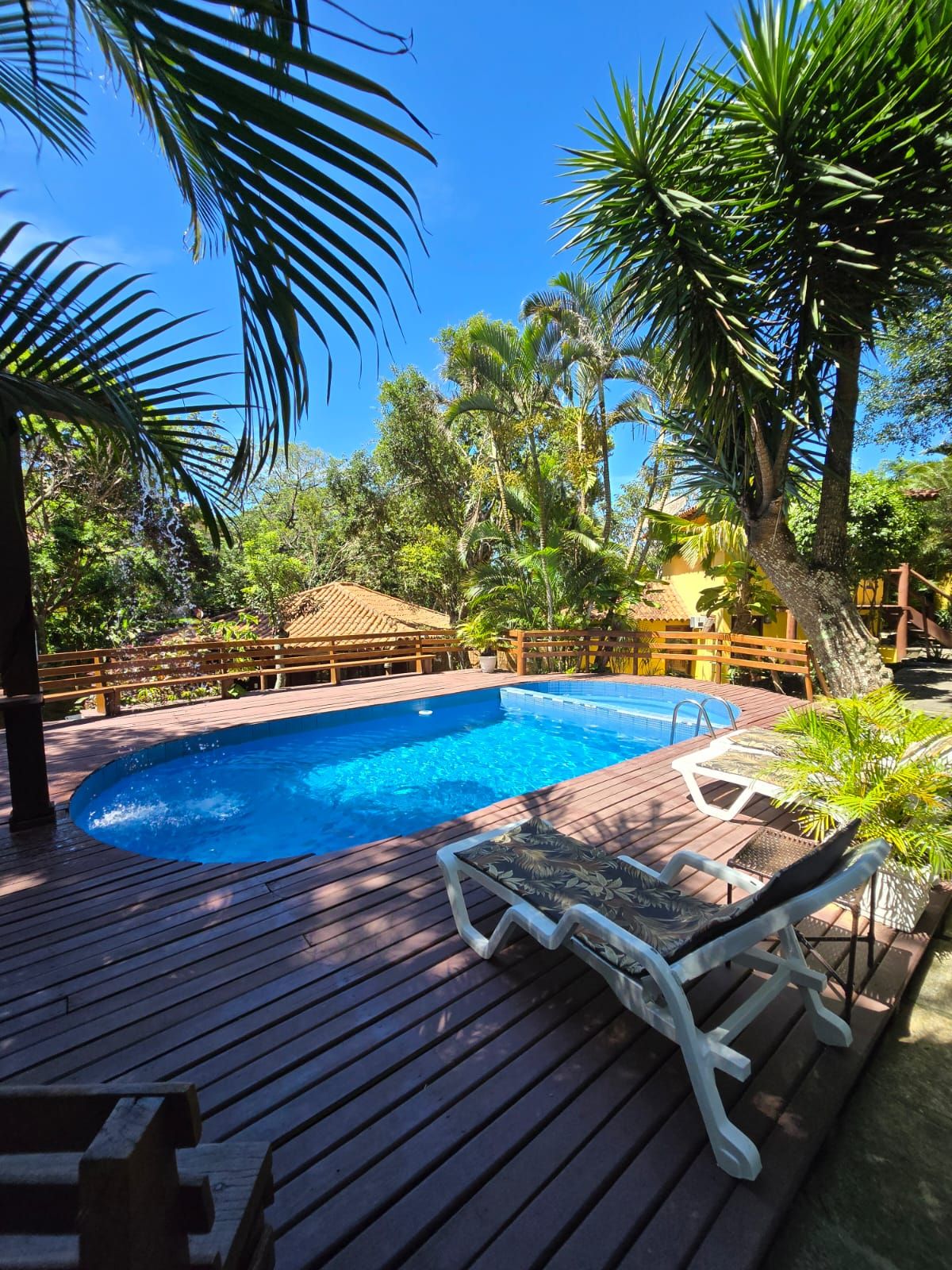 Piscina com deck de madeira, cercada por palmeiras e um muro de madeira.